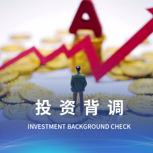 阳江投资背调公司