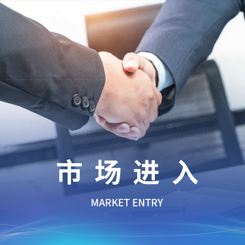 东莞市场进入企业